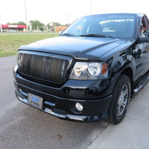 Hood Guard/Bug Shields