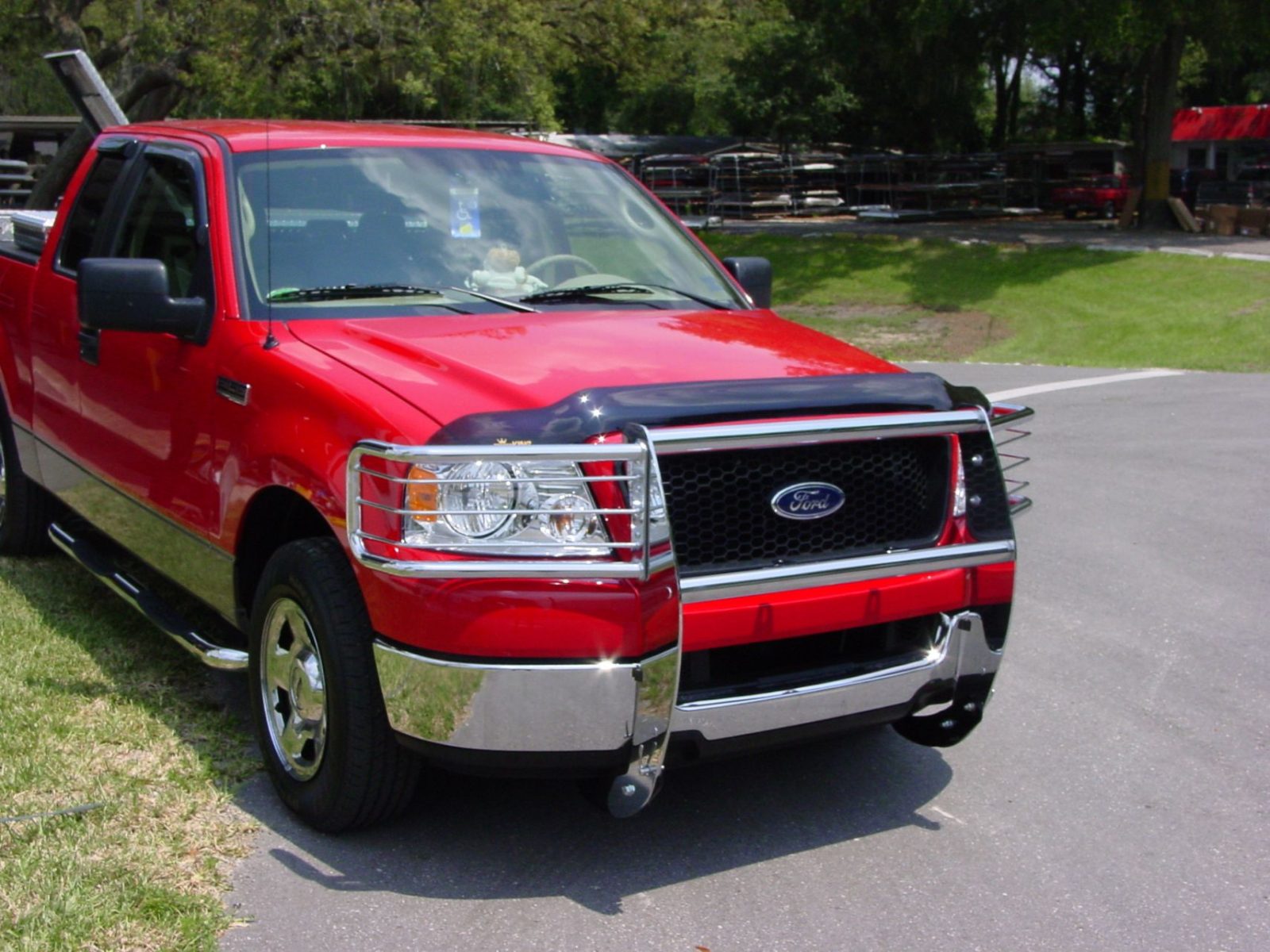 chrome_grill_guard_ford.jpg